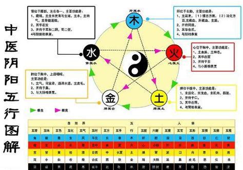 水和金的关系|五行是水生金、还是金旺水 金生水是金旺还是水旺